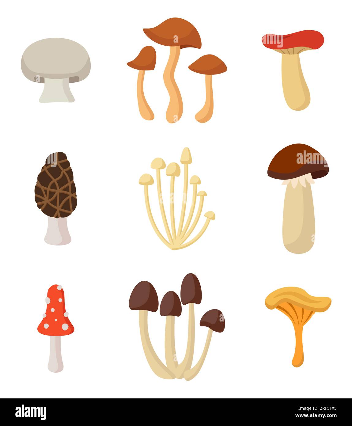 Set Of Mushrooms. Autumn Nature. Vector Illustration In Flat Style ...