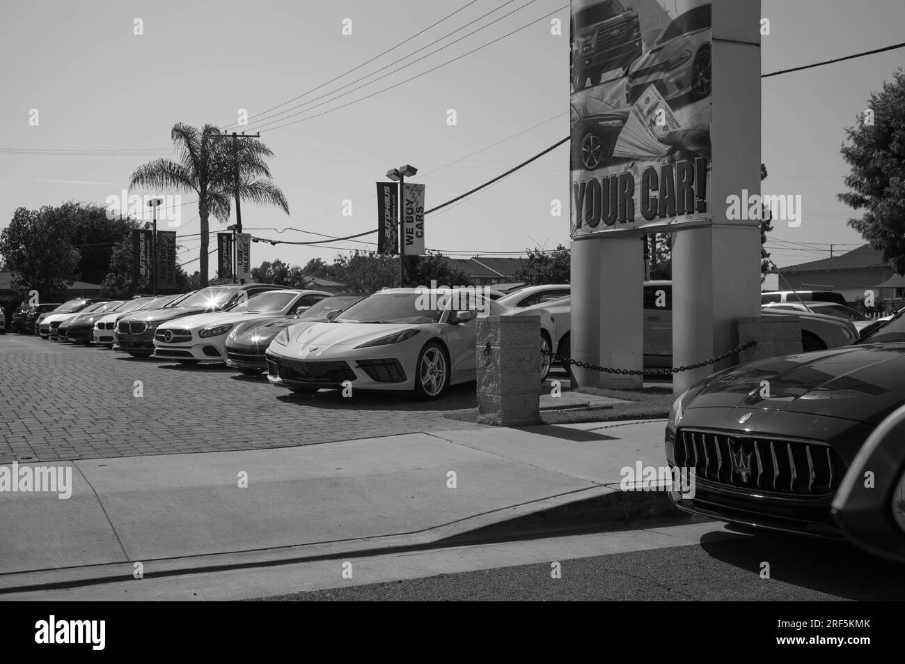 High end sports cars Black and White Stock Photos & Images Alamy