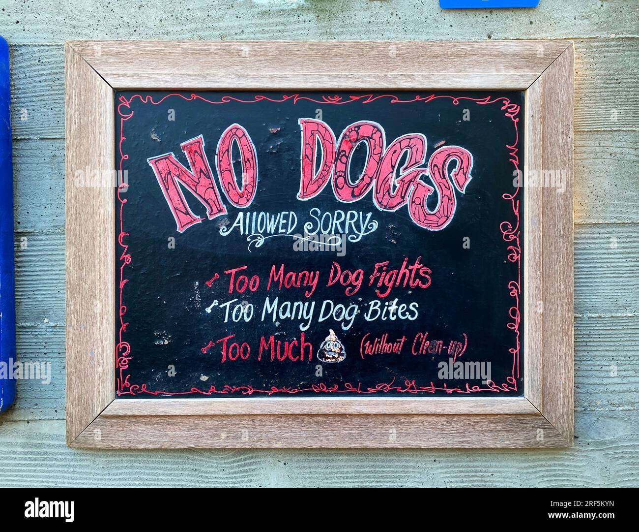 No Dogs Allowed sign Stock Photo Alamy