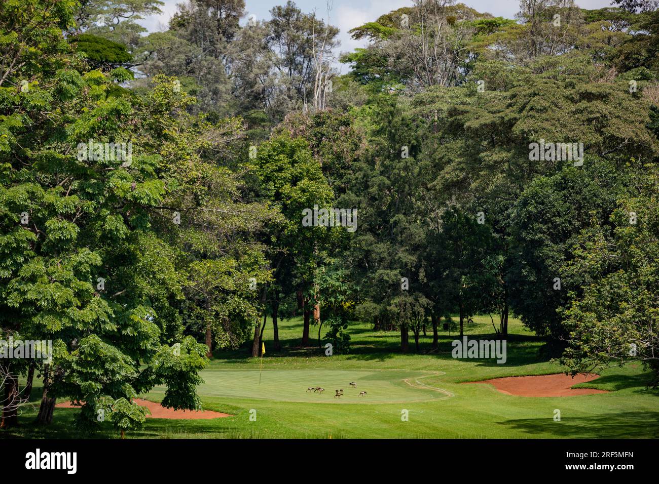 Windsor Golf Country Club Hotel In Nairobi City County Kenya East