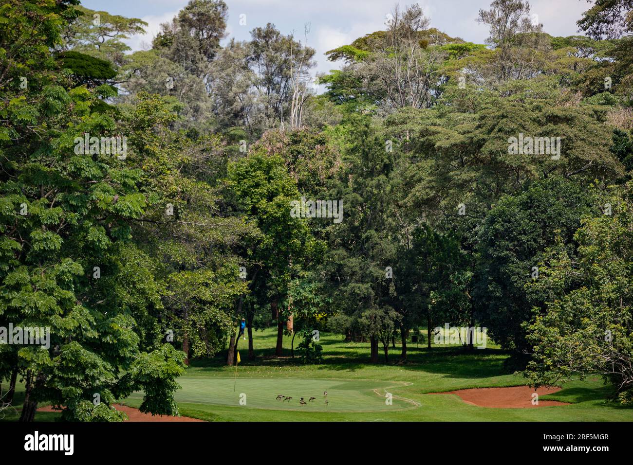 Windsor Golf Country Club Hotel In Nairobi City County Kenya East Africa Landscapes Playground