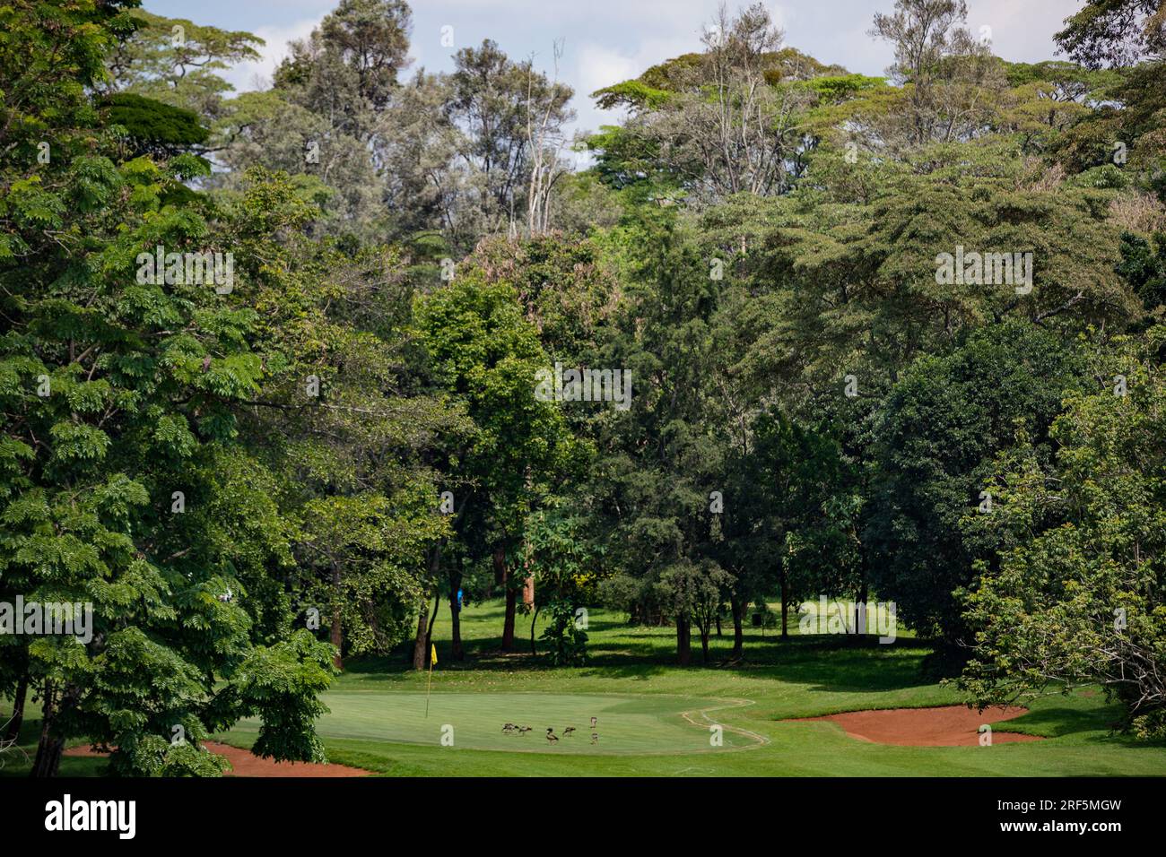 Windsor Golf Country Club Hotel In Nairobi City County Kenya East