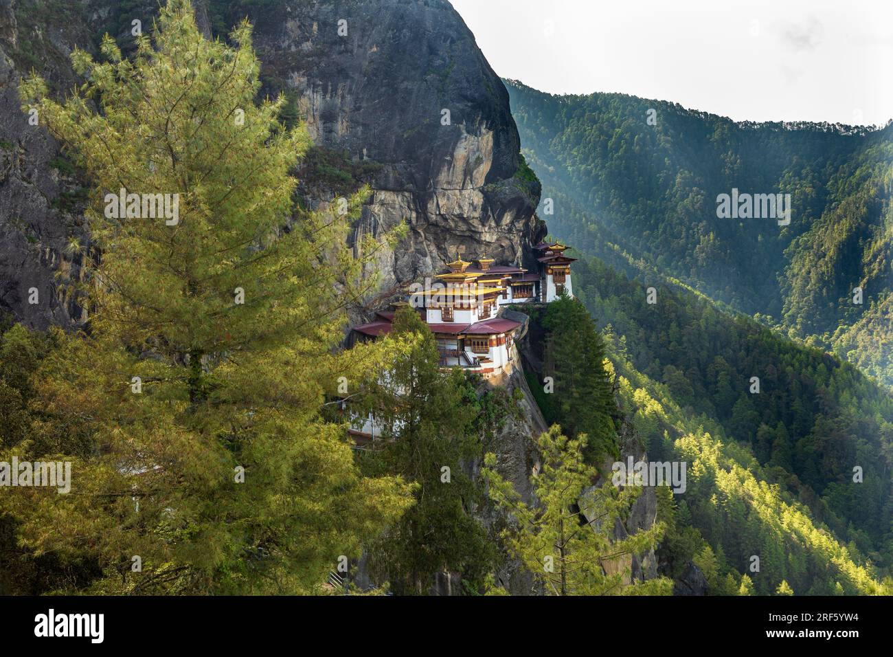 Scenic view of the sacred Paro Taktsang monastery (Tiger’s Nest buddhist temple) on the cliffside of Paro valley in Bhutan Stock Photo
