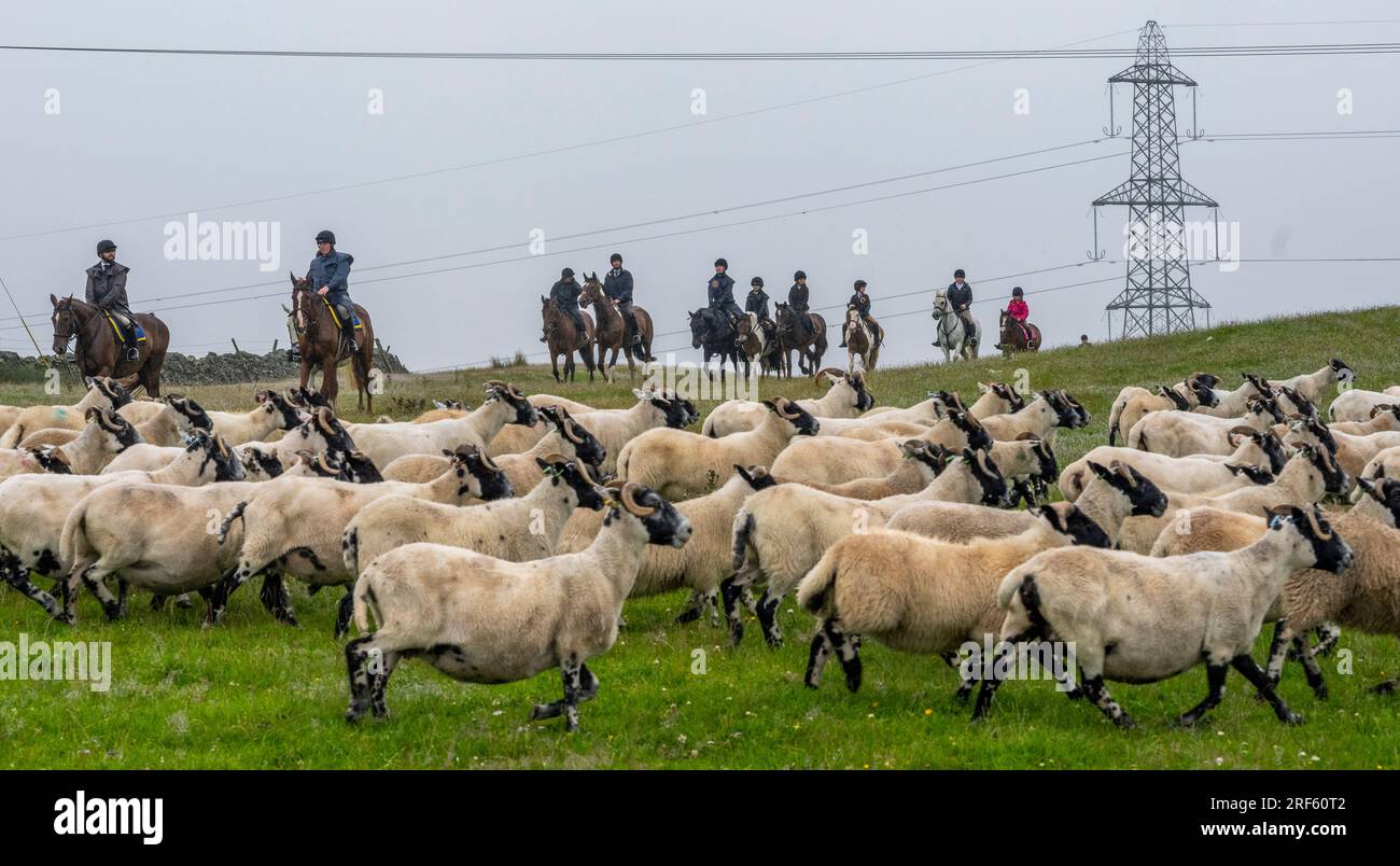 Brave horse riding uk hi-res stock photography and images - Alamy