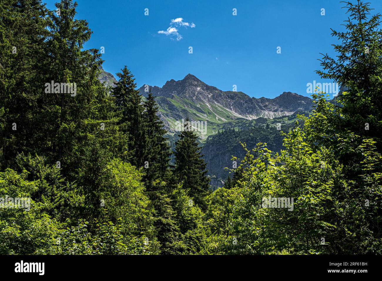 Bergpanorama alpen hi-res stock photography and images - Alamy