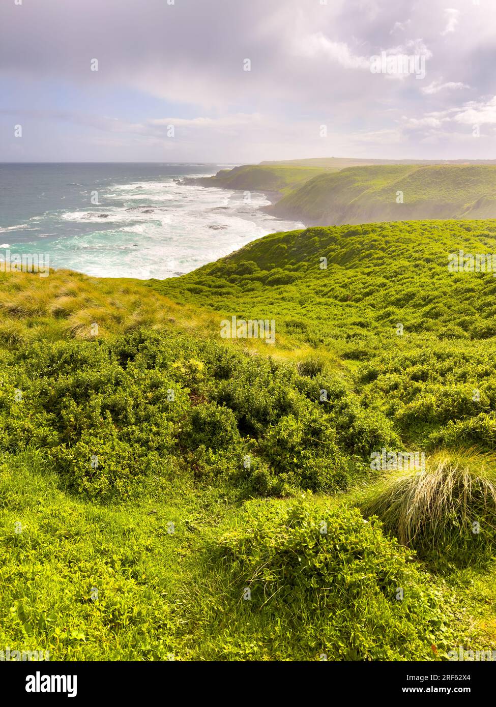 Phillip island summerlands australia hires stock photography and