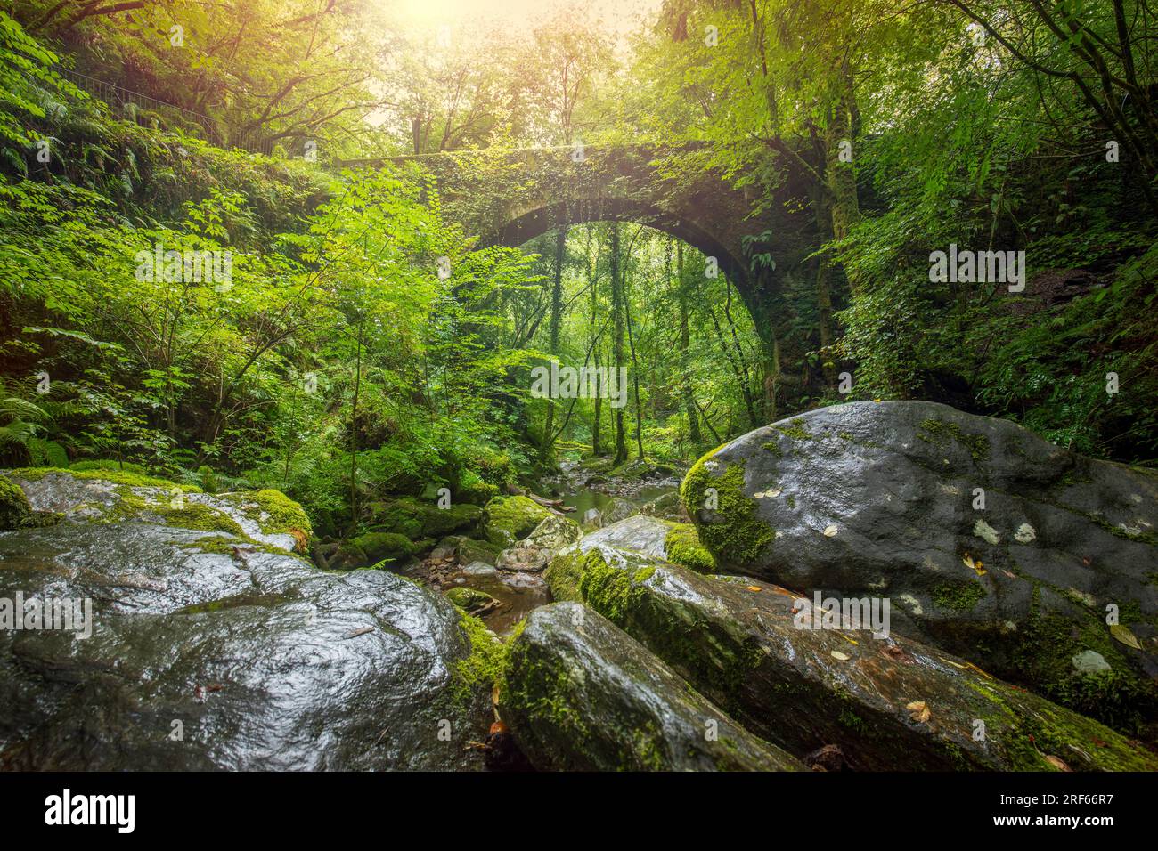Old bridge over the Sesn river in the Fragas do Eume natural park in A Corua, Galicia, Spain with exuberant vegetation Stock Photo