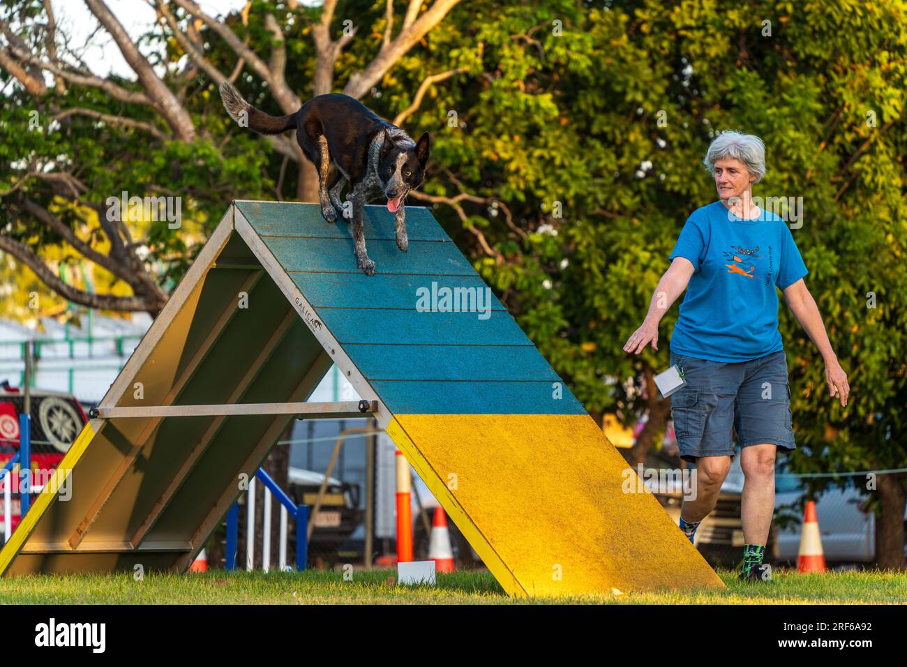ROYAL DARWIN SHOW, NT AUSTRALIA 29 JUL 2023 Dog agility competition