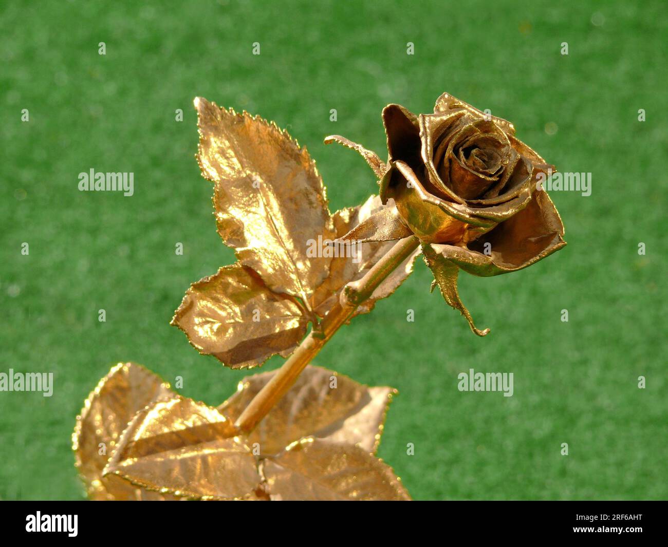 Rose gold plated, gold rose Stock Photo - Alamy