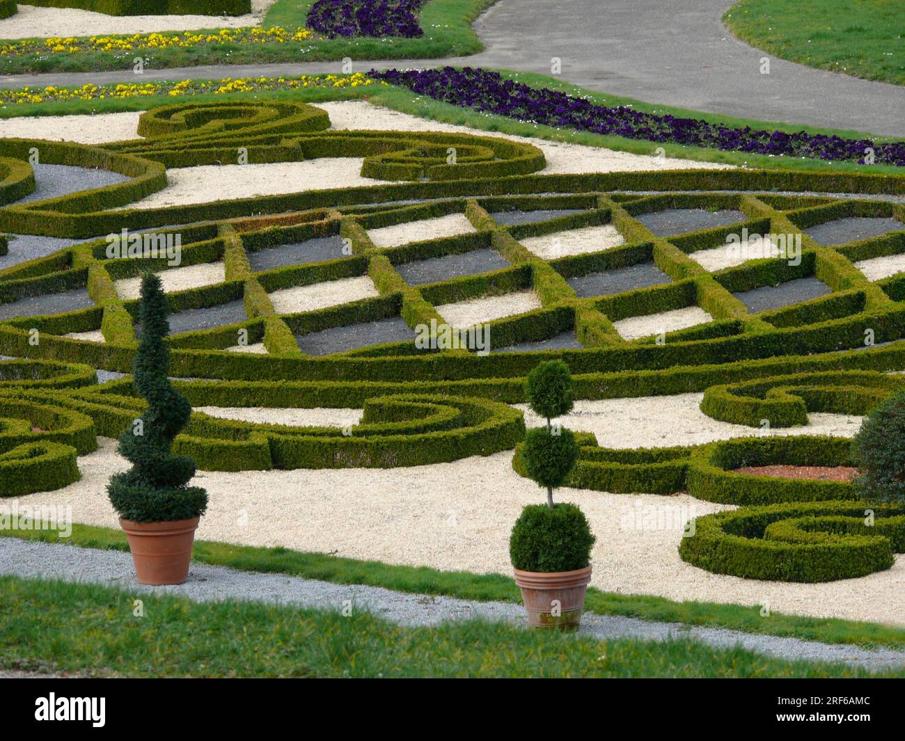 Bluehendes Barock Ludwigsburg in spring, BW.-D. boxwood cut into shape Stock Photo