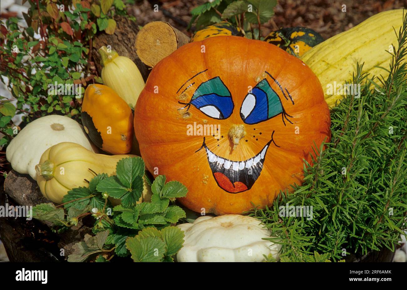 Painted pumpkin, laughing face Stock Photo - Alamy