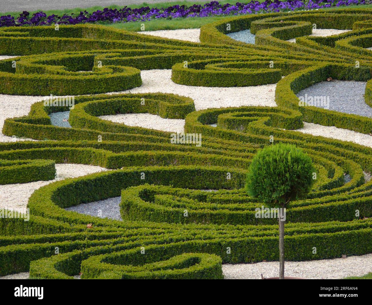 Bluehendes Barock Ludwigsburg in spring, BW.-D. boxwood cut into shape Stock Photo