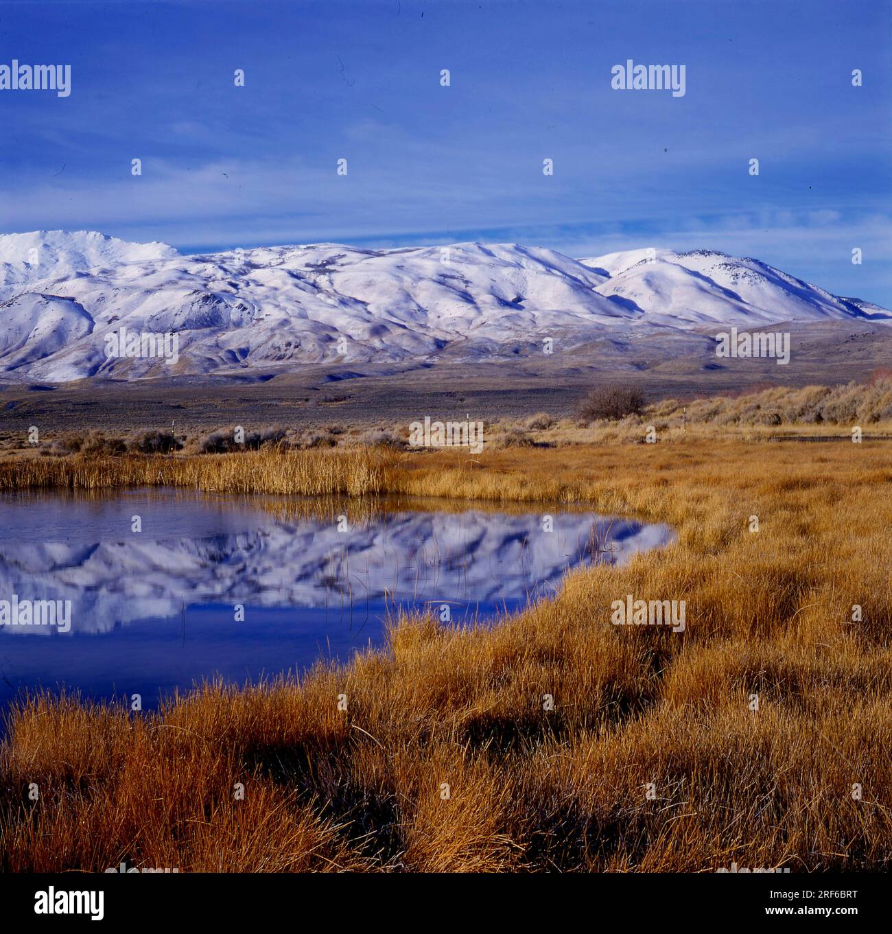 Reflection of the Granite Range Mtns. Black Rock Desert Gerlach, Nevada, USA Stock Photo