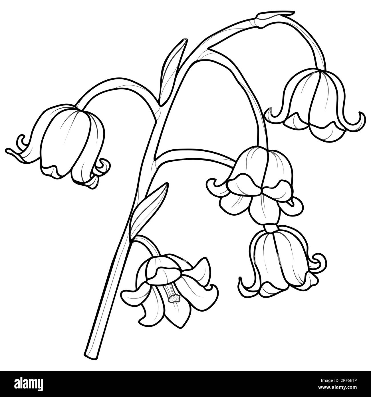 Cute hand drawn isolated black outline of lily of the valley branch. Stock Photo