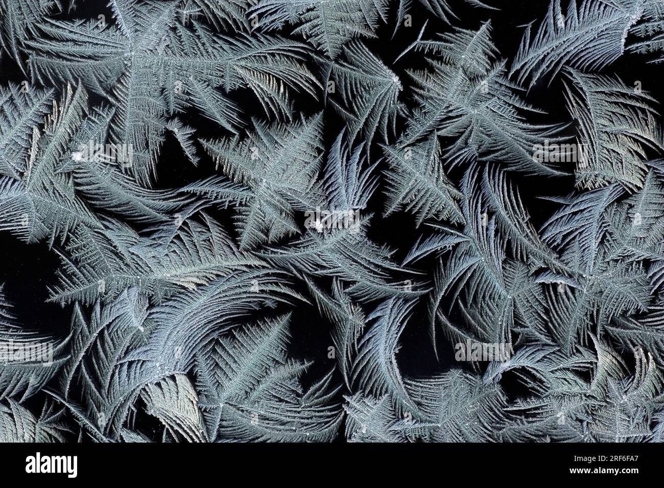 Ice flowers on windows Stock Photo Alamy