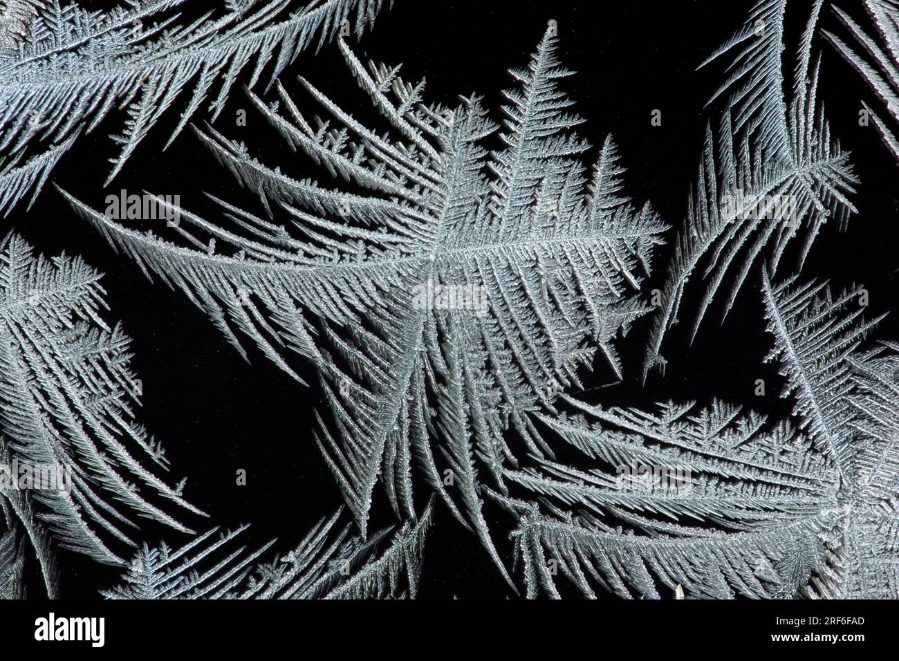 Ice flowers on windows Stock Photo Alamy