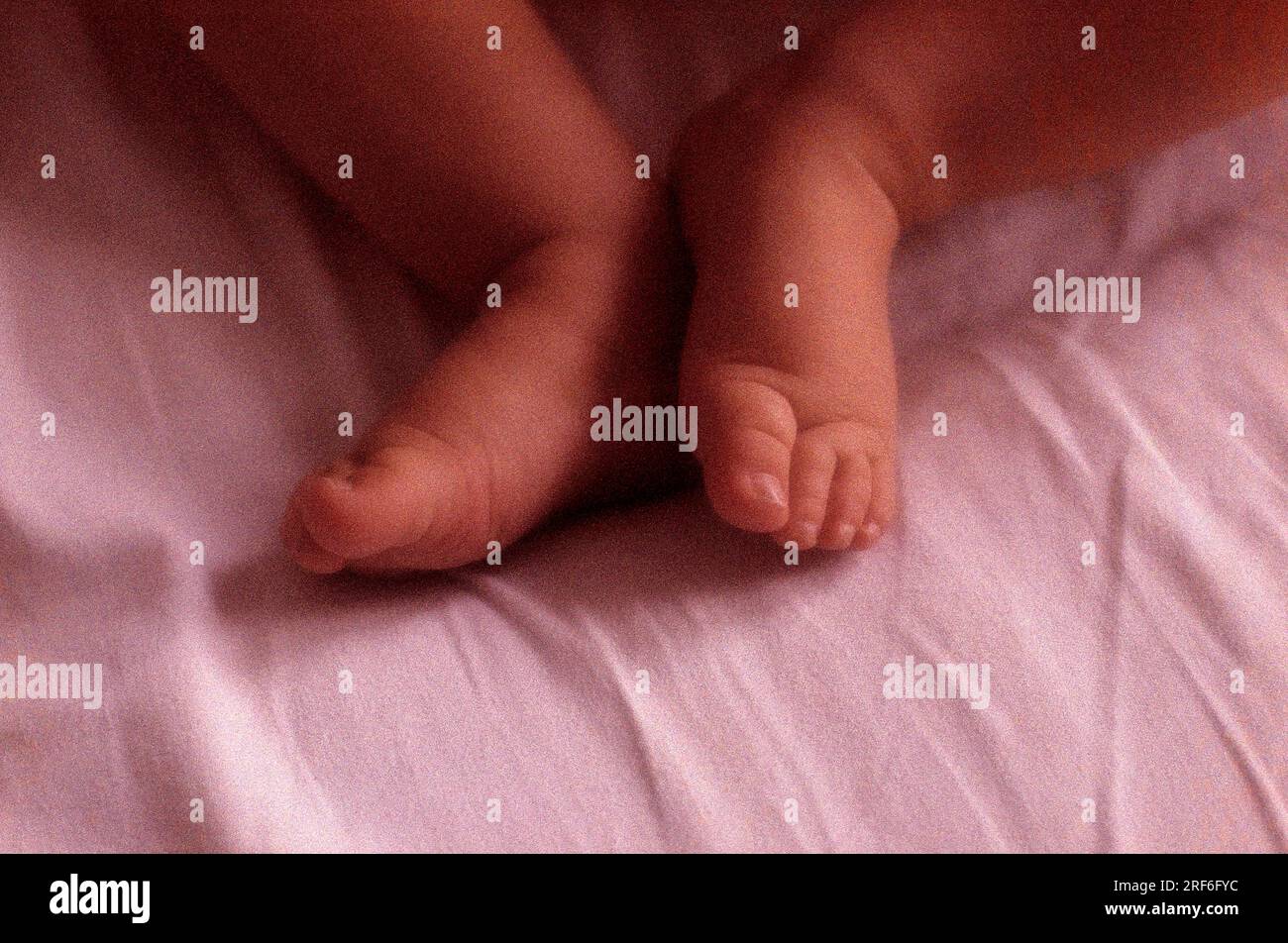 Baby feet Stock Photo