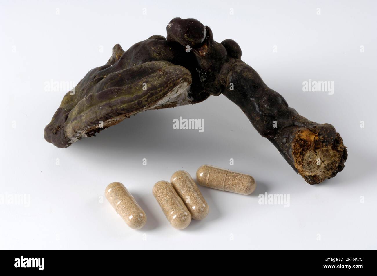 Lingzhi mushroom (Ganoderma lucidum), dried and as capsules, medicinal