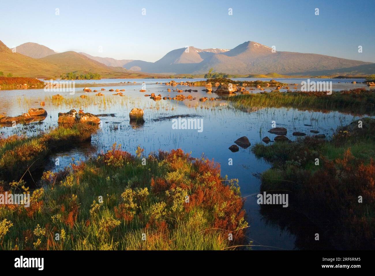 Rannoch Moor Highlands Scotland Scottish Highlands Stock Photo Alamy