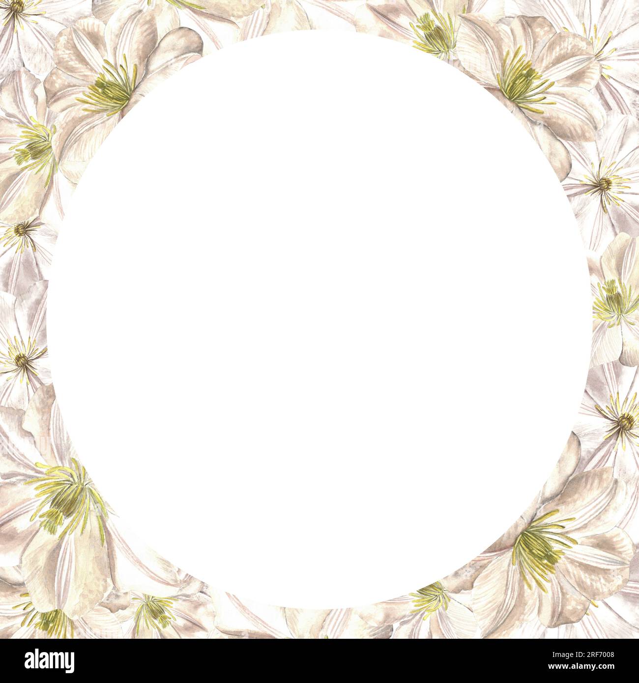 Watercolor illustration of clematis flowers. Round frame isolated on a white background made by hand Stock Photo