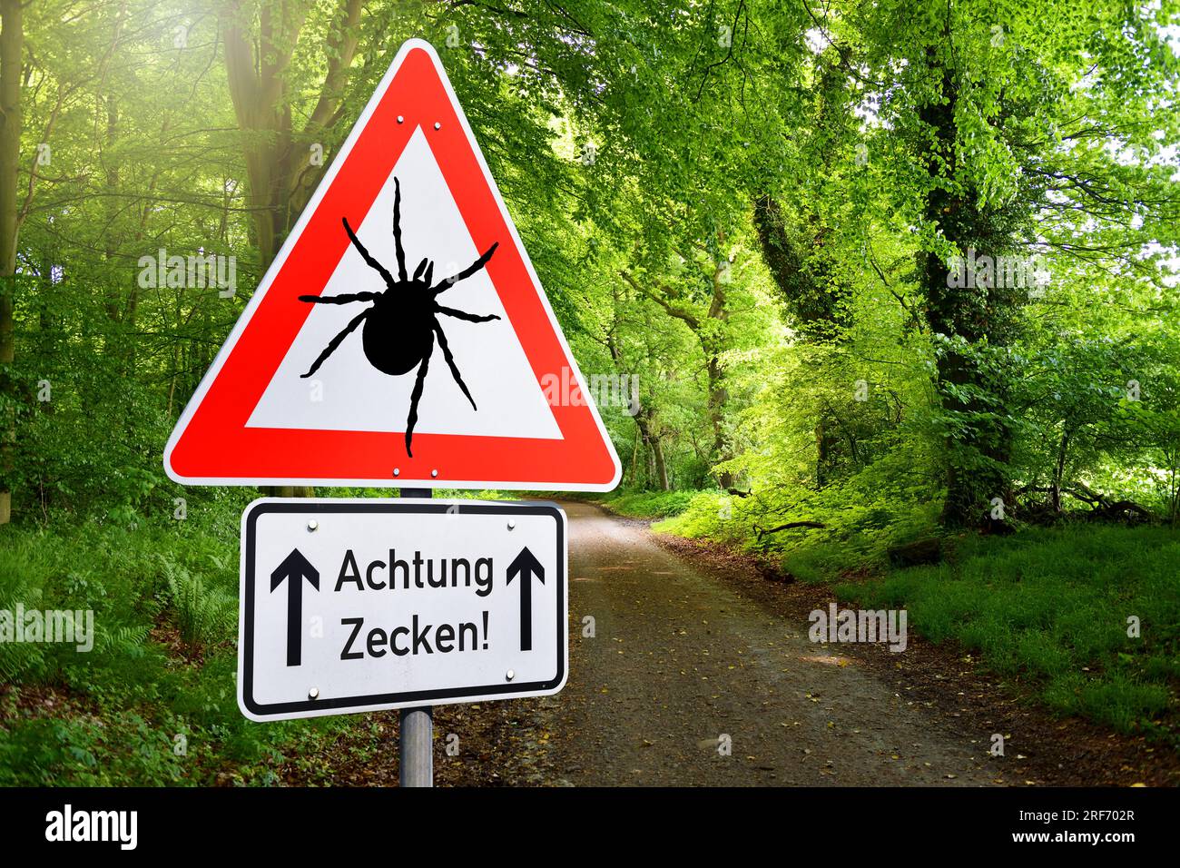 FOTOMONTAGE, Warnschild vor Zecken an einem Waldweg Stock Photo