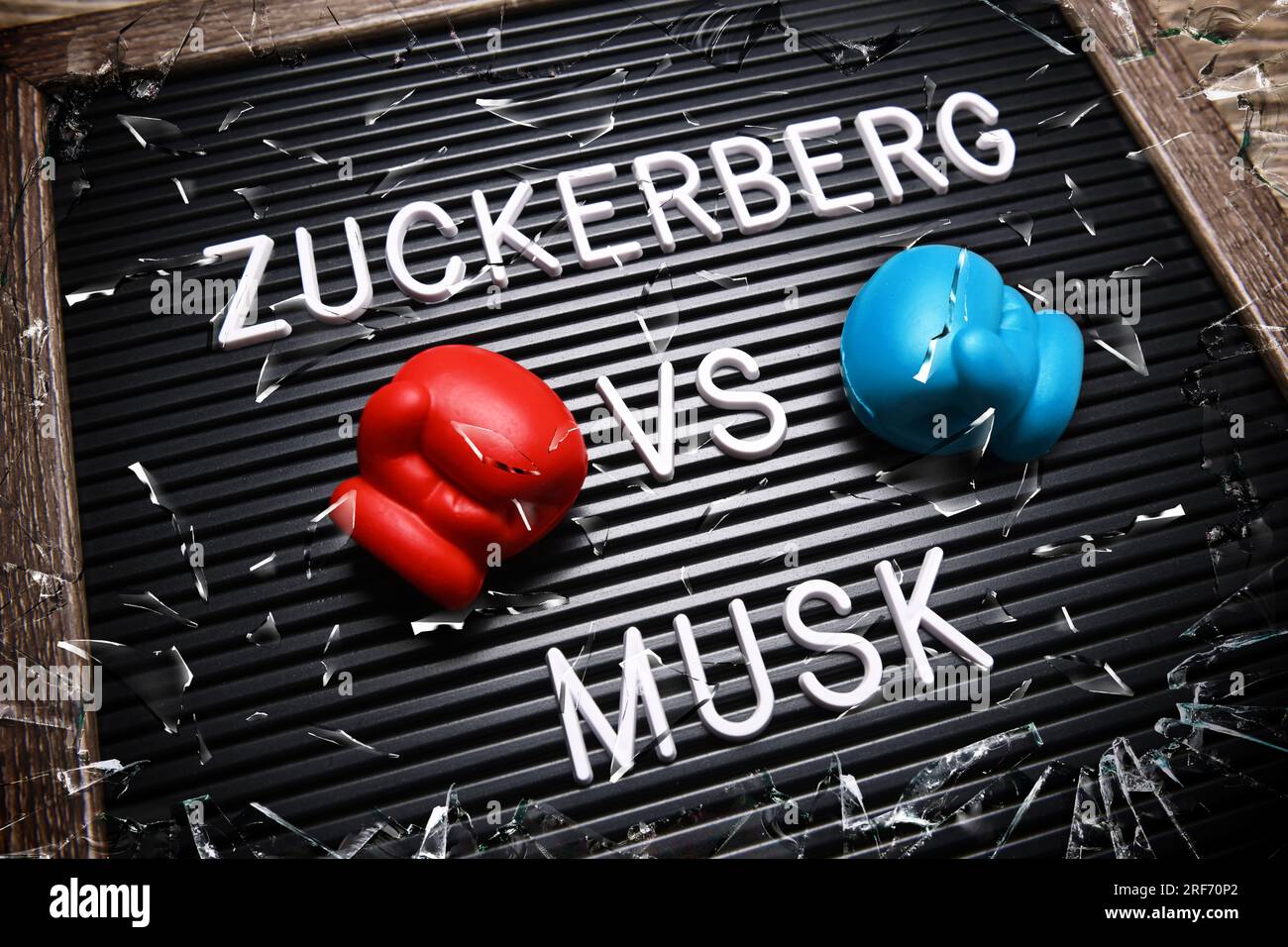 FOTOMONTAGE, Auf einer Tafel mit Boxhandschuhen steht Zuckerberg vs Musk Stock Photo