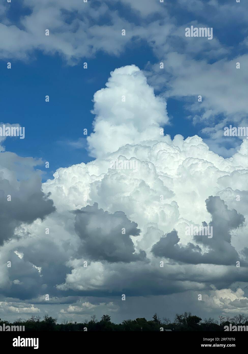 a large white cloud in a blue sky, vertical photo. Stock Photo
