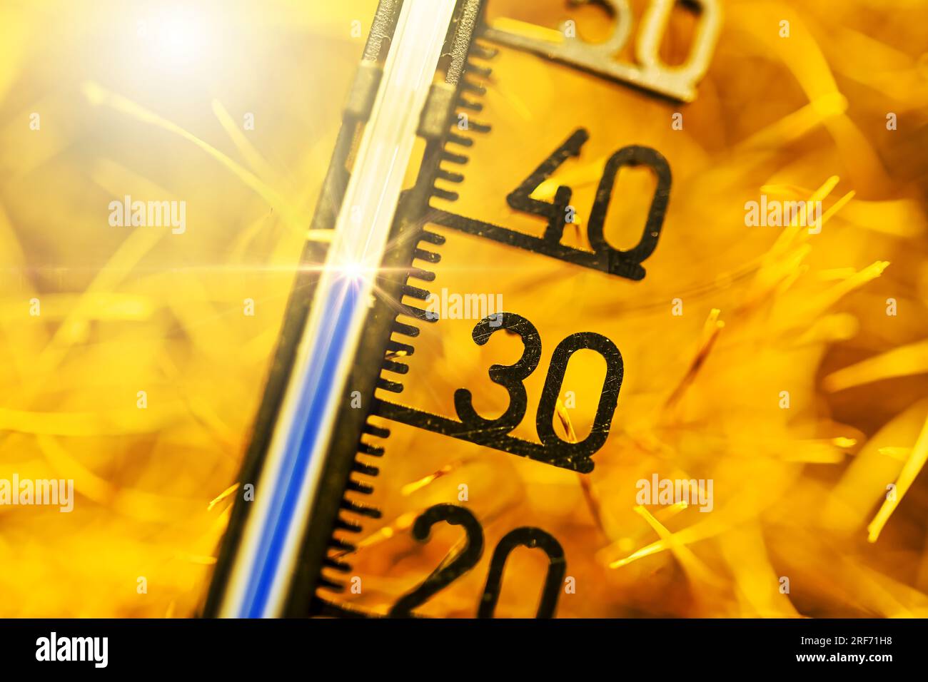 Thermometer bei über 30 Grad Celsius auf vertrocknetem Gras, Symbolfoto Hitzewelle Stock Photo