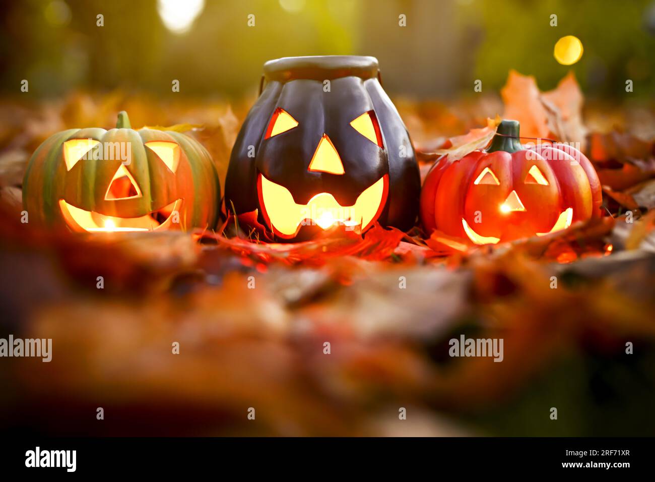Halloween-Deko-Kürbisse und Herbstlaub in der Dämmerung Stock Photo