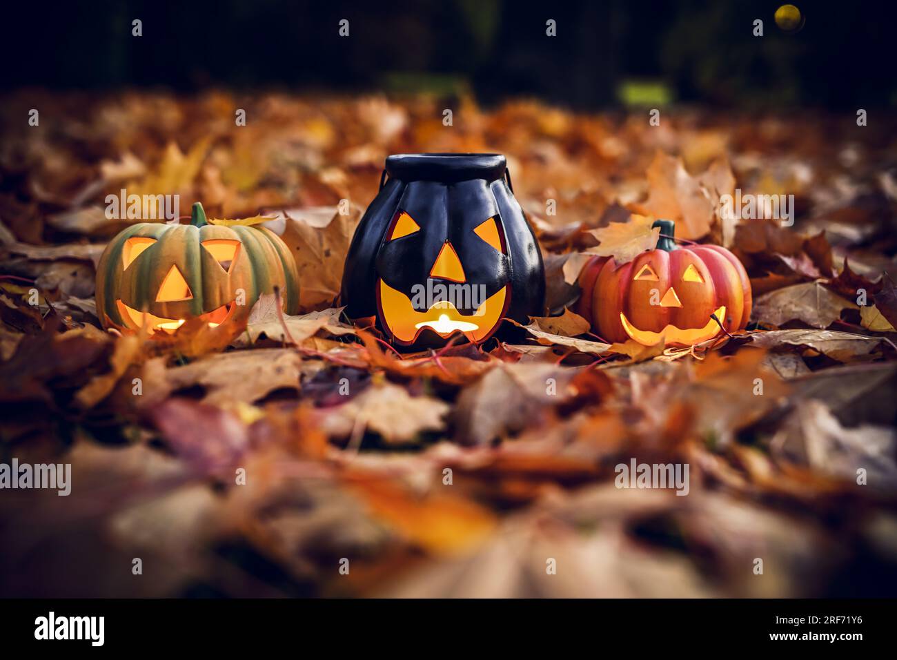 Halloween-Kürbis-Deko und Herbstlaub Stock Photo