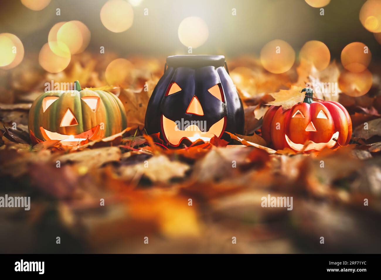 Halloween-Deko-Kürbisse und Herbstlaub in der Dämmerung Stock Photo