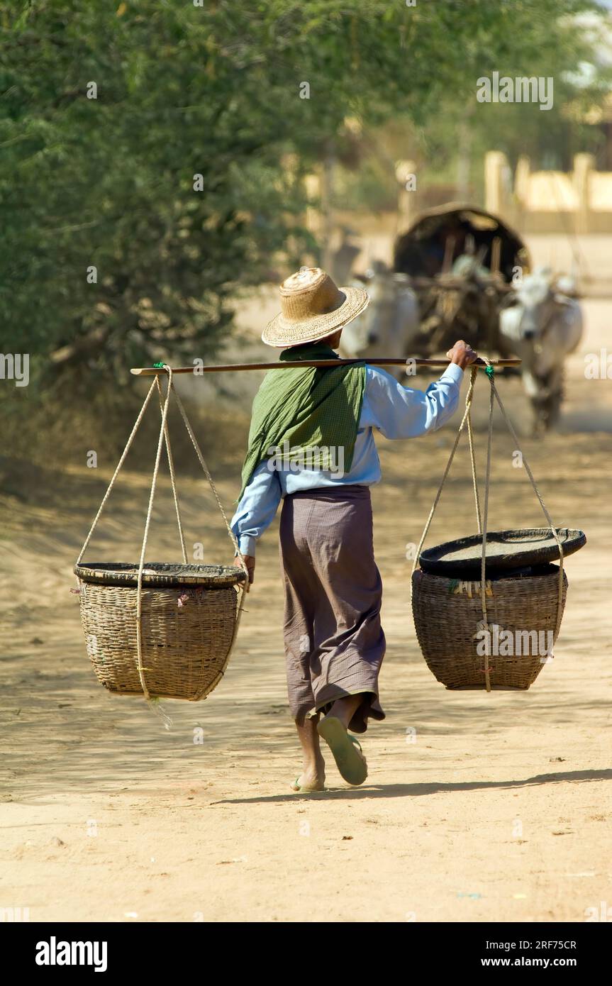 Bagan, Myanmar, Burmese man carrying two baskets on his shoulder, Bagan