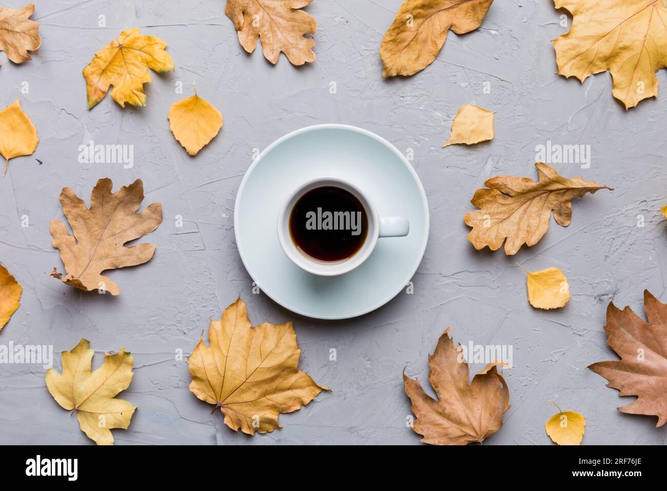 Flat lay composition with colorful Autumn cup of coffee and leaves on a ...