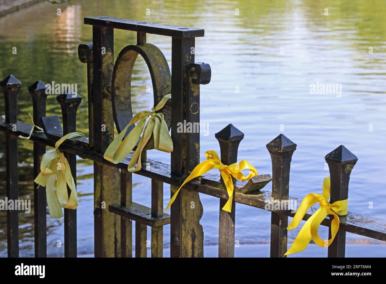 Yellow ribbons tied to metal fence, symbol of suicide prevention awareness Stock Photo