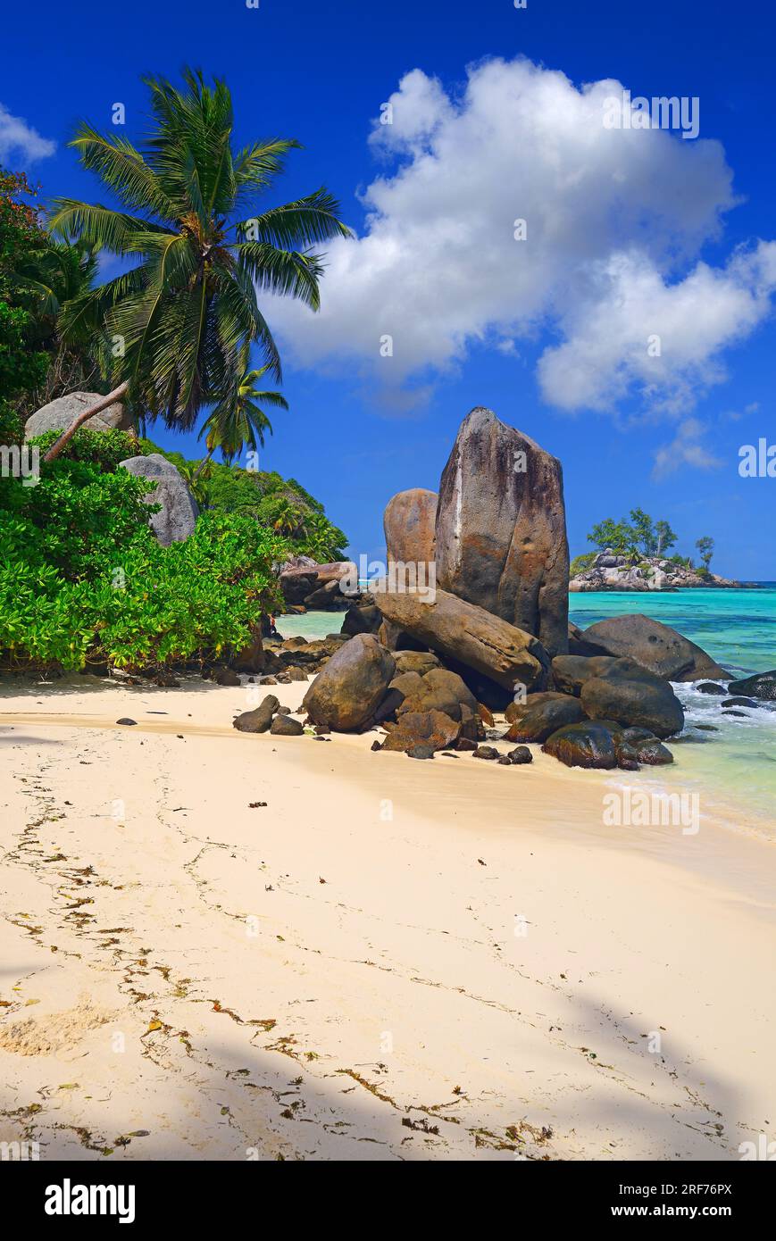 Ostafrika, Kokospalmen und Granitfelsen am Traumstrand Anse Royal,   Insel Mahe, Seychellen Stock Photo