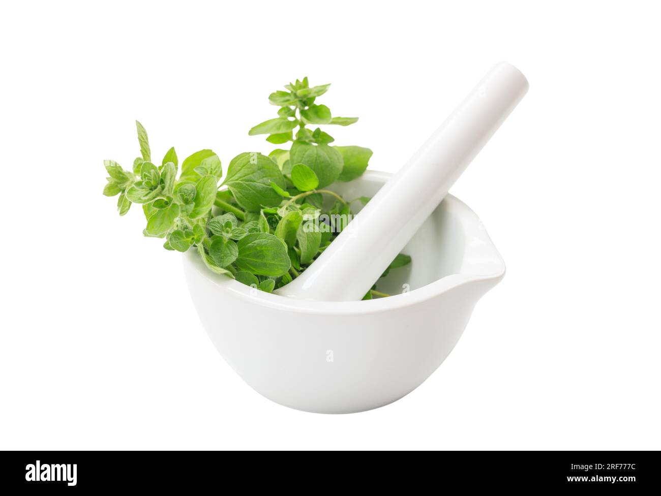 Fresh herbs in a mortar and pestle isolated on white background. Herbal
