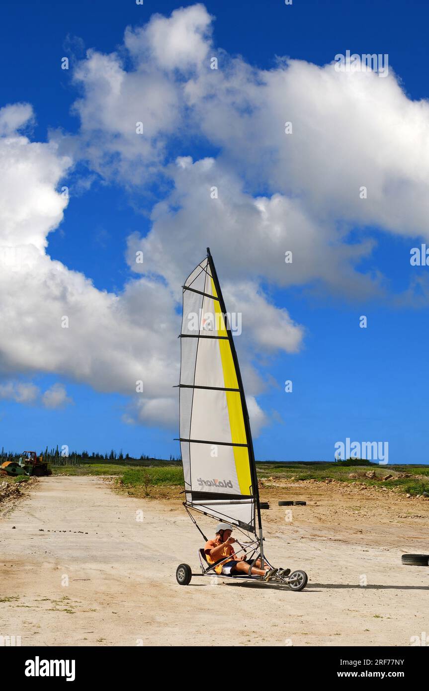 Südamerika, Inseln unter dem Winde, Strandsegler auf Bonaire, ABC-Inseln, Karibik, Stock Photo