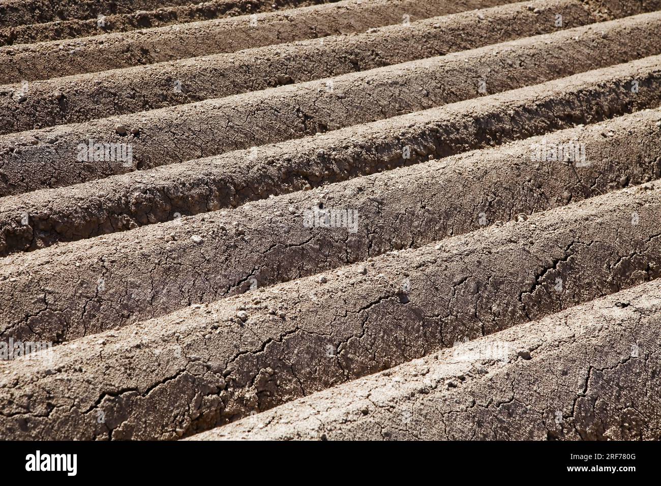 Ein frisch gepflügtes Feld in der Landwirtschaft, Spargelanbau, Gemüseanbau, Stock Photo