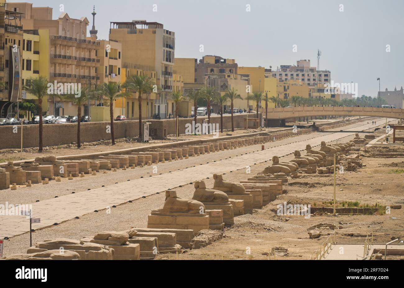 Sphinx-Allee zwischen Karnak und Luxor-Tempel, Luxor, Ägypten Stock Photo