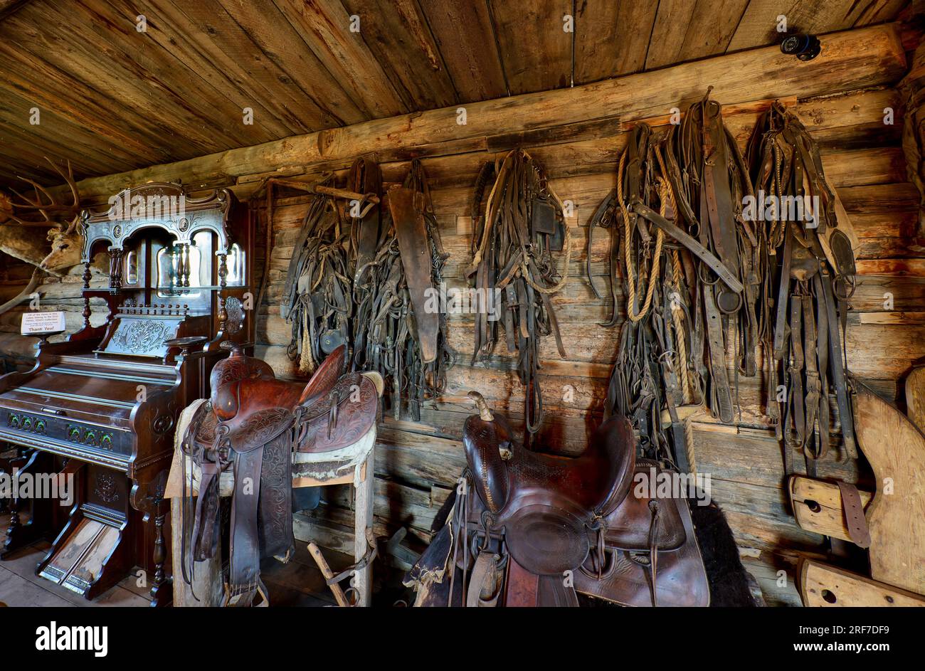 Monument Hill Homestead Cabin, interior shot Old Trail Town, Cody, Wyoming, United States of America Stock Photo