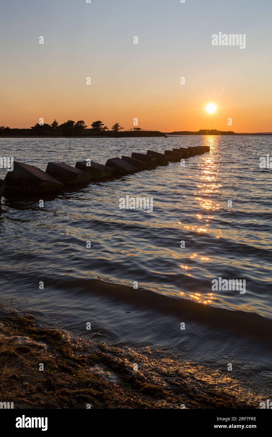 Dragons Teeth, World War II tank traps defence blocks, at Studland
