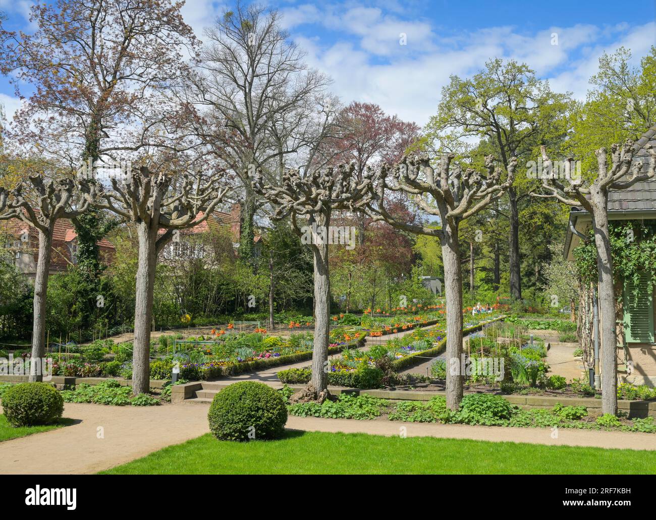 Garten der LiebermannVilla, Am Großen Wannsee, Wannsee, Steglitz