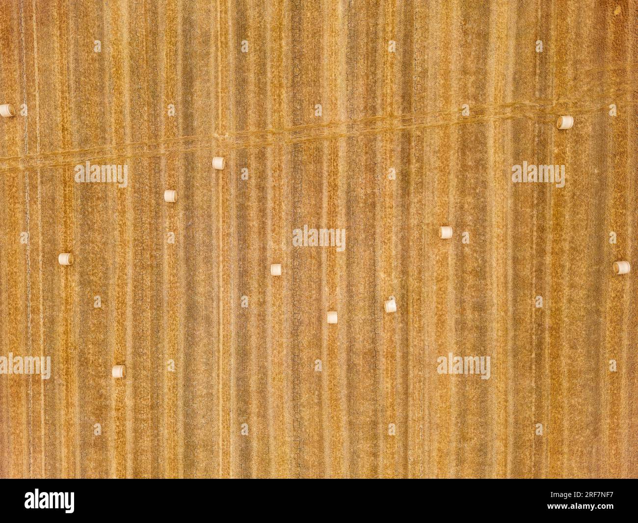 Single pressed straw bales on a mowed stubble field seen directly from above with drone as aerial view Stock Photo