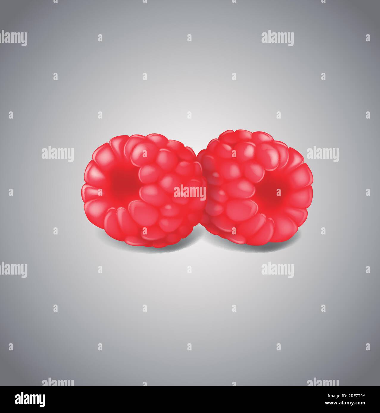 Red white raspberries on Stock Vector Images - Alamy