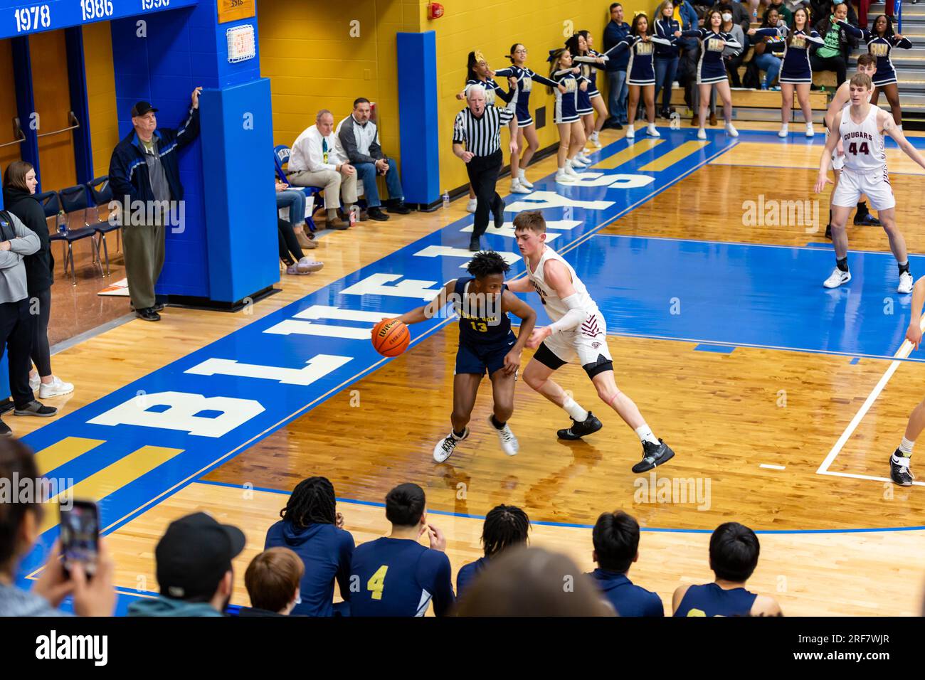 Central noble high school cougars hires stock photography and images