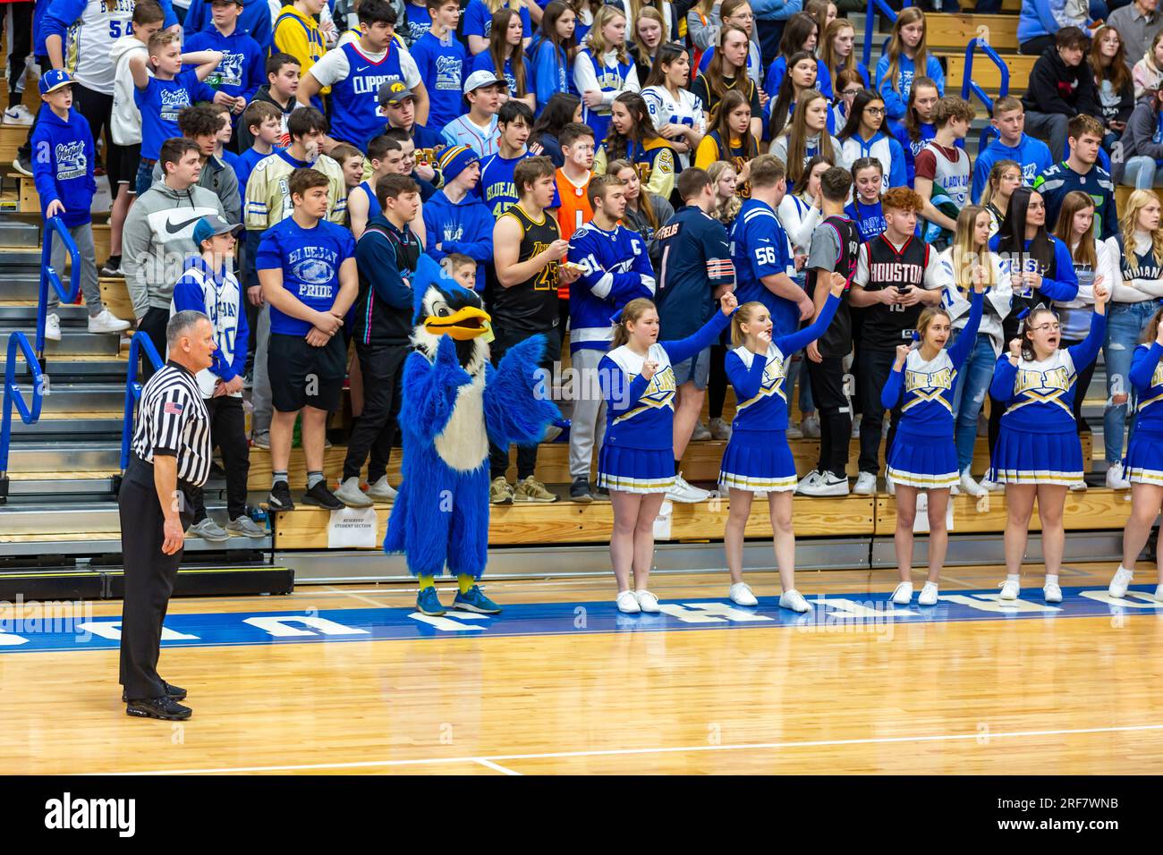 An official, the North Judson San Pierre High School cheerleaders, their cheer block and mascot watch a game in North Judson, Indiana, USA. Stock Photo