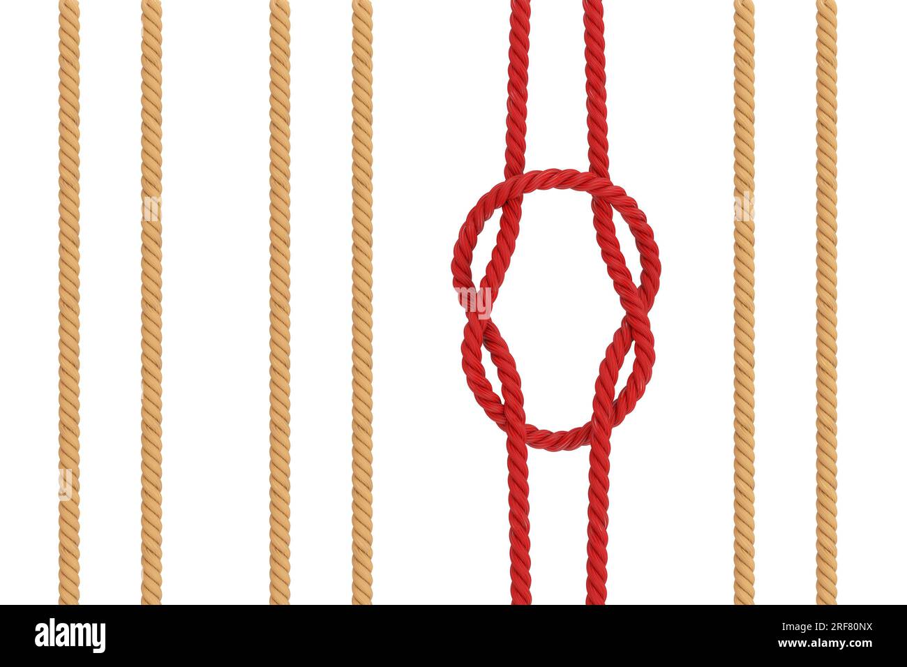 How to tie a reef knot hi-res stock photography and images - Alamy