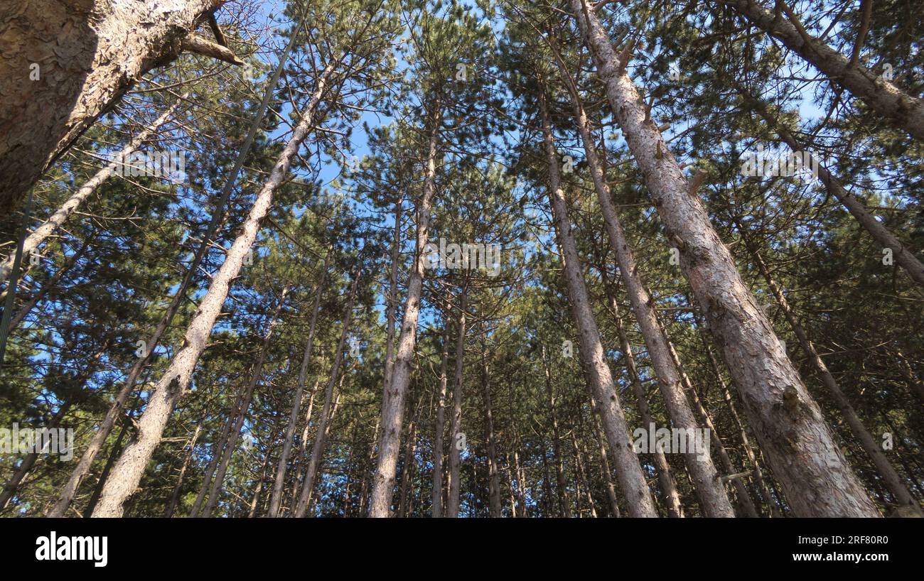 People park high angle low sun hi-res stock photography and images - Alamy
