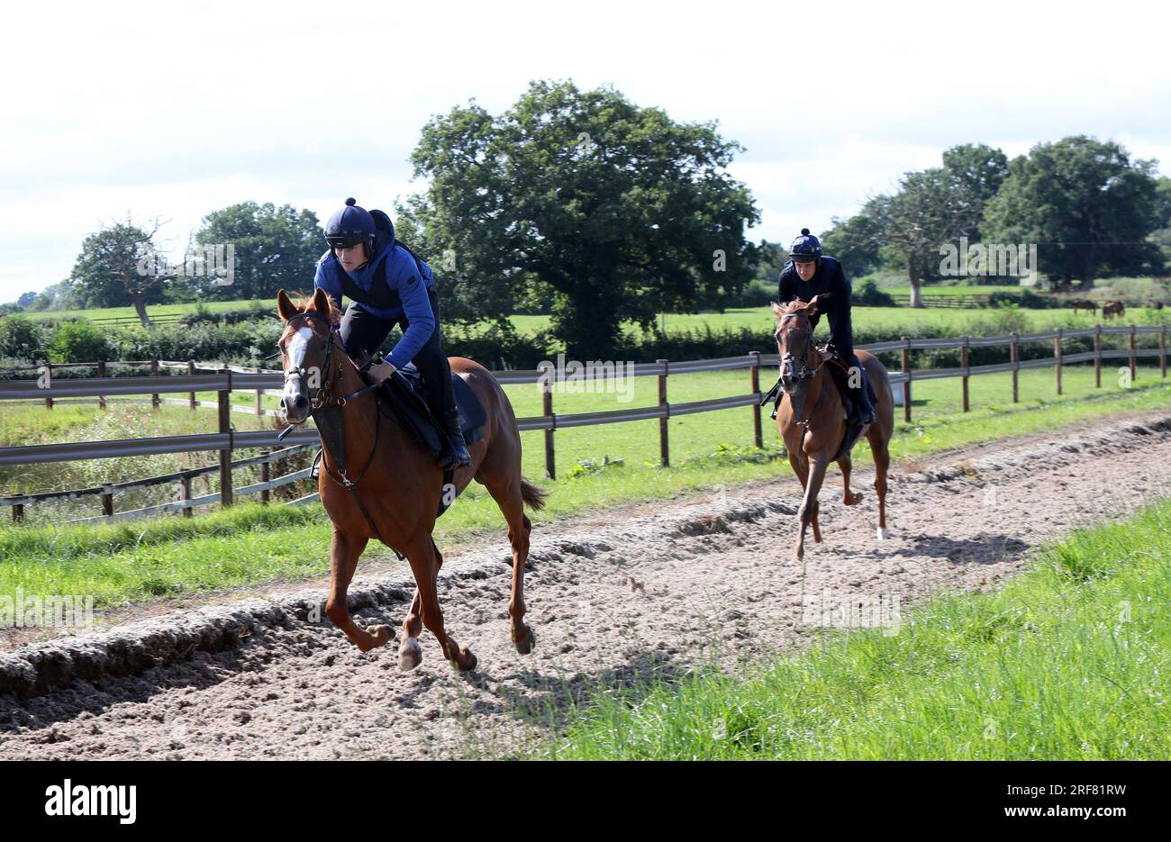 EDITORIAL USE ONLY Toby Wrnne and Sam Inskip ride out at racing yard Greenall Guerriero Racing, Cheshire, ahead of National Racehorse Week which takes place from September 9th to 17th. Picture date: Tuesday August 1, 2023. Stock Photo