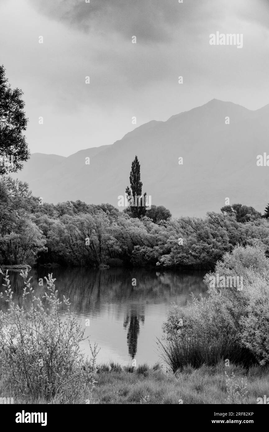 Glenorchy region in New Zealand South Island. Photo Rob Watkins Stock